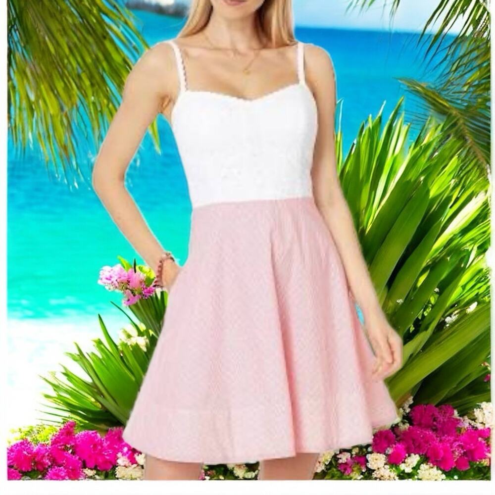 Lilly Pulitzer Cotton Winslow Eyelet Lace Striped Dress Size 14 Coastal Summer